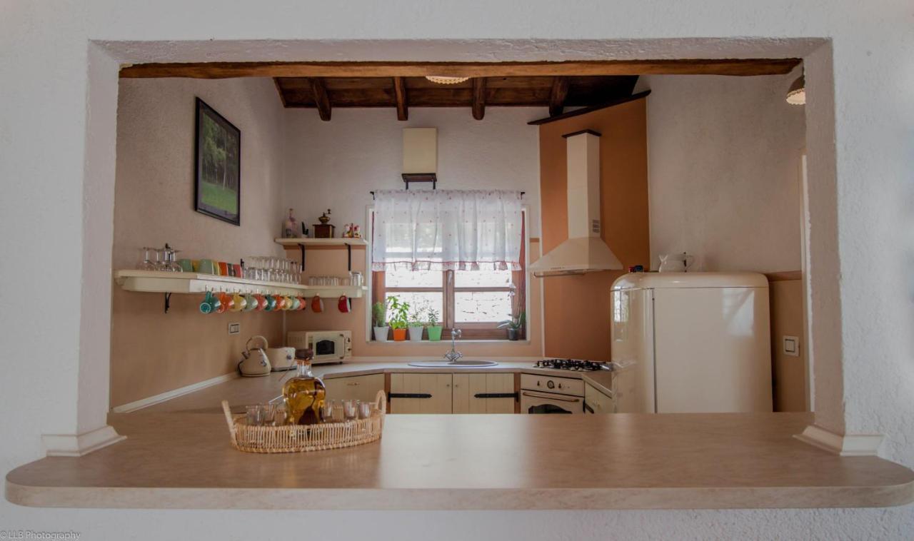 Family Villa Lipica With Private Pool And Jacuzzi Pazin Dış mekan fotoğraf